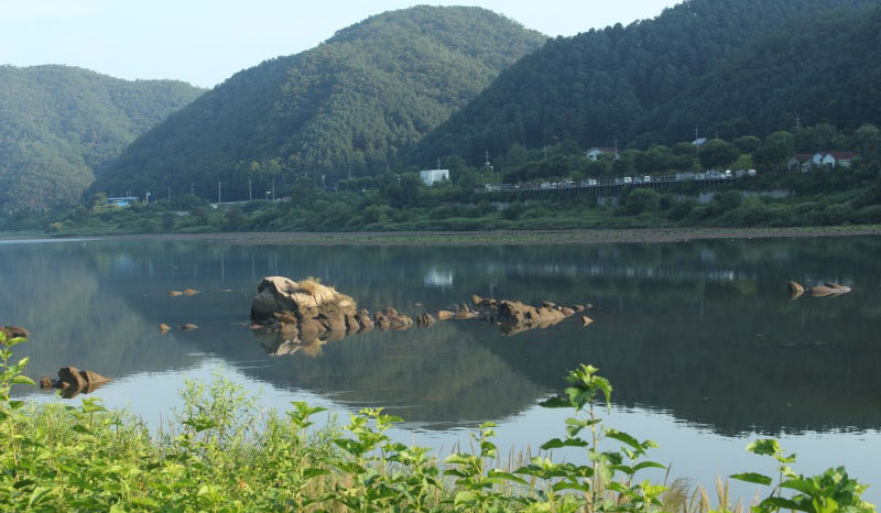 공지천에서 바라본 춘천대교와 하천 풍경
